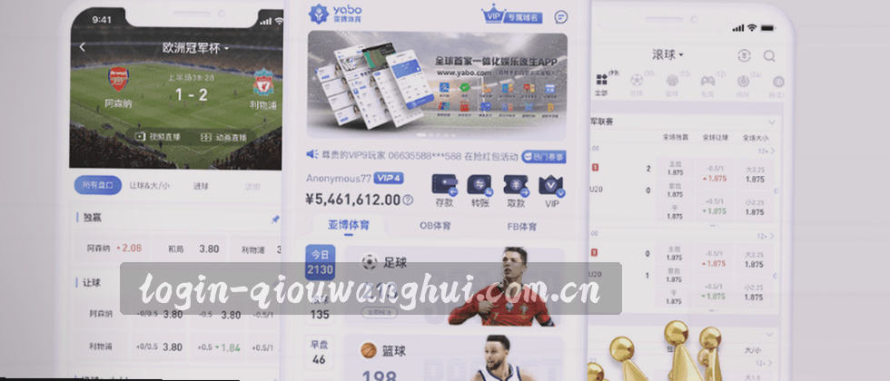 隐私盾牌 数据铁网
